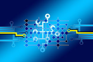 疫情防控现场处置方案，科学、高效、全面的应对策略