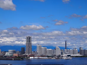 石家庄人社，构建人才强市战略，助力城市繁荣发展